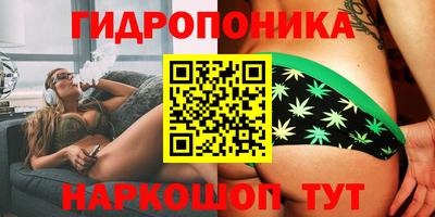 гашик Новодвинск