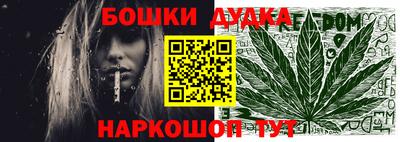 гашик Новодвинск