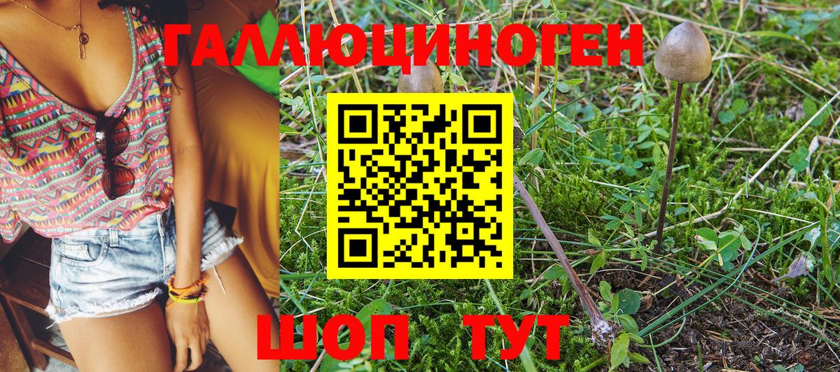 Галлюциногенные грибы Magic Shrooms  как найти наркотики  Рыбинск  Вход с VPN  Галлюциногенные грибы мухоморы 