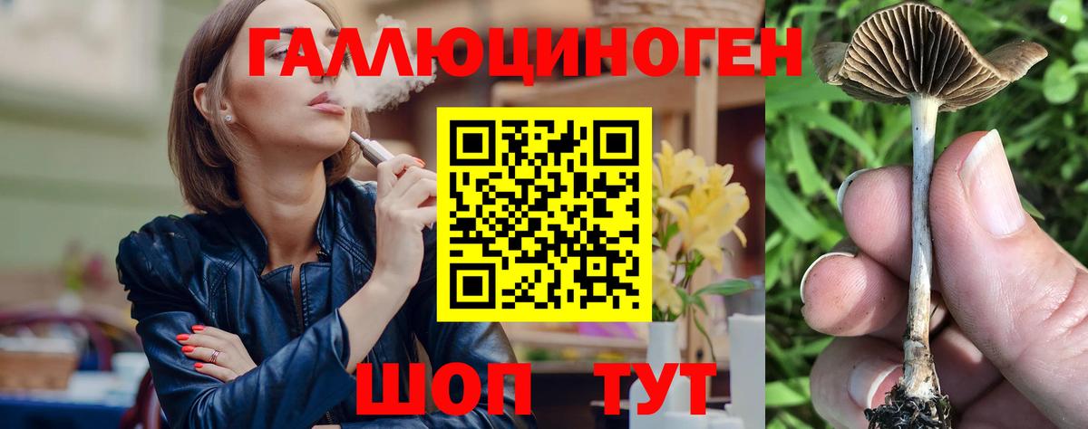 Псилоцибиновые грибы Psilocybine cubensis Рыбинск